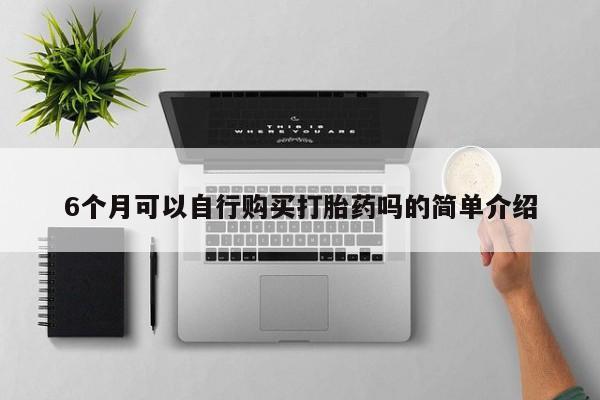 私人医院买有打胎药6个月可以自行购买打胎药吗的简单介绍
